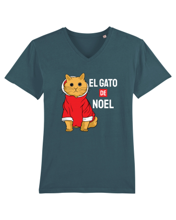 El gato de Noel Stargazer