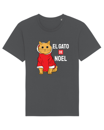 El gato de Noel Anthracite