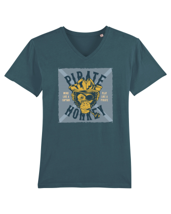 Pirate Monkey Stargazer