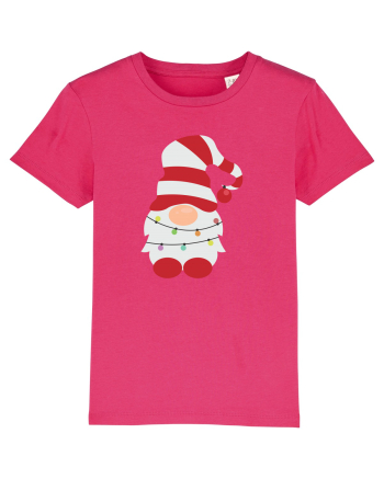Christmas gnome Raspberry
