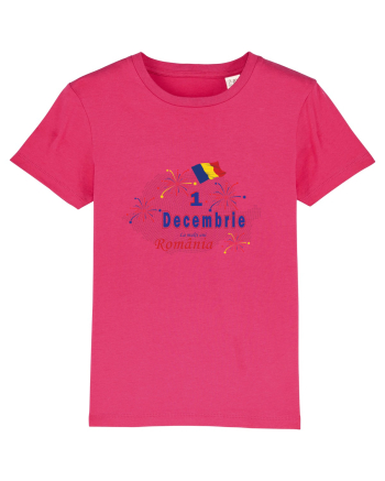 1 Decembrie Ziua nationala Raspberry