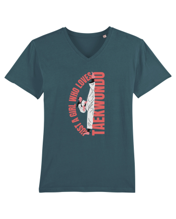 Taekwondo Stargazer