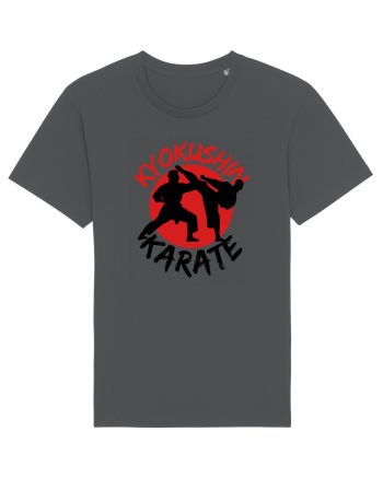 Kyokushin Karate  Anthracite