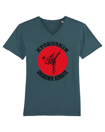 Kyokushin Karate  Stargazer