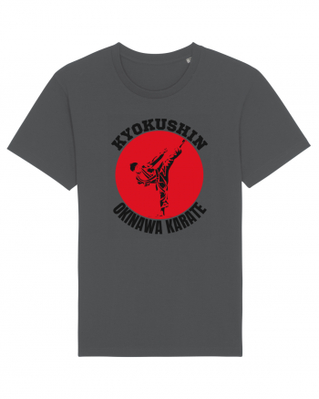 Kyokushin Karate  Anthracite