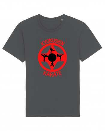 Kyokushin Karate  Anthracite