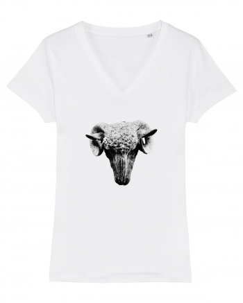 The Sheep White