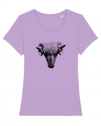 The Sheep Lavender Dawn