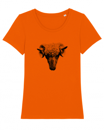 The Sheep Bright Orange