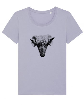 The Sheep Lavender