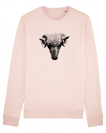 The Sheep Candy Pink