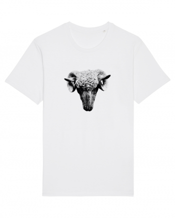 The Sheep White