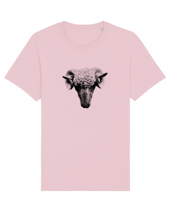 The Sheep Cotton Pink