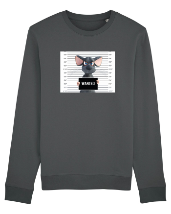 Wanted Anthracite