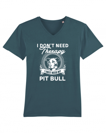 PIT BULL Stargazer