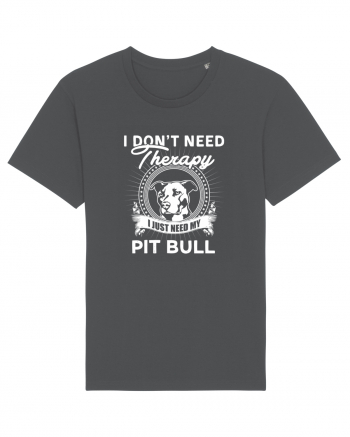 PIT BULL Anthracite