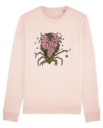 SPIDER BRAIN  Candy Pink
