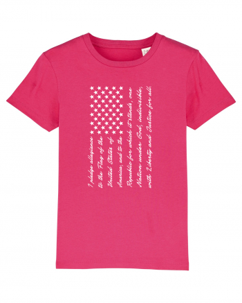 USA FLAG Raspberry