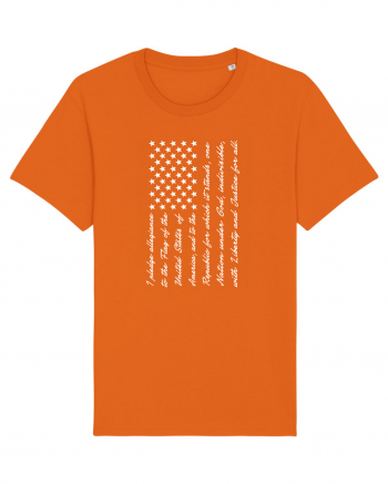 USA FLAG Bright Orange