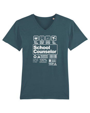 SCHOOL COUNSELOR Stargazer