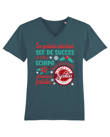 Secret Santa - sef / sefa Stargazer