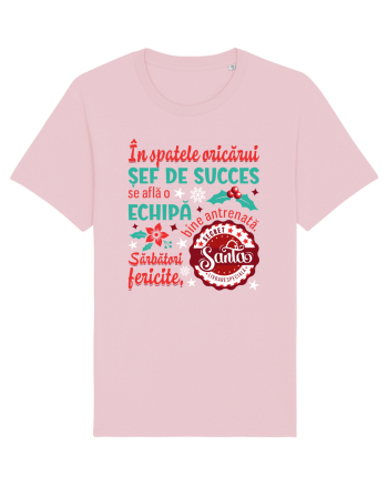 Secret Santa - sef / sefa Cotton Pink