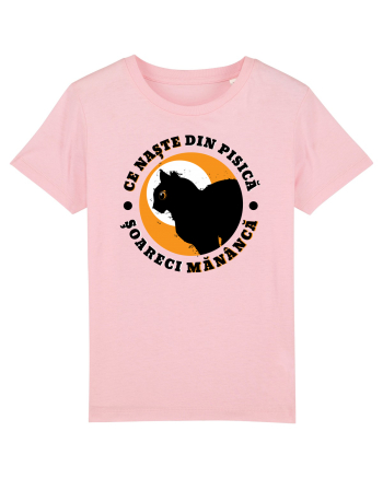 Ce naste din pisica Cotton Pink