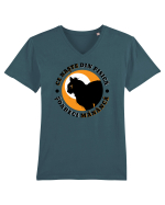 Ce naste din pisica Tricou mânecă scurtă guler V Bărbat Presenter