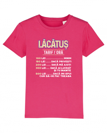 Lacatus Raspberry