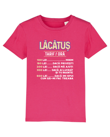 Lacatus Raspberry