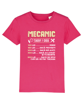 Mecanic Raspberry