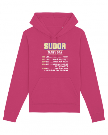 SUDOR Raspberry