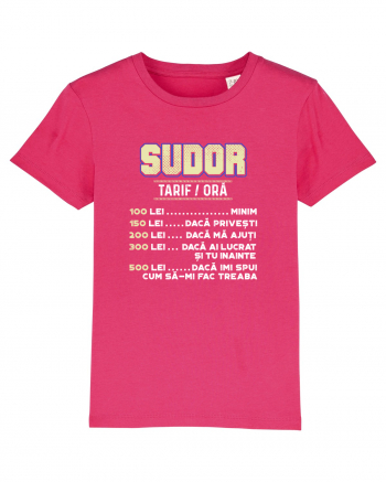 SUDOR Raspberry