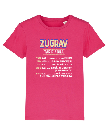 Zugrav Raspberry