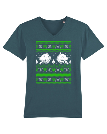 CHRISTMAS Stargazer