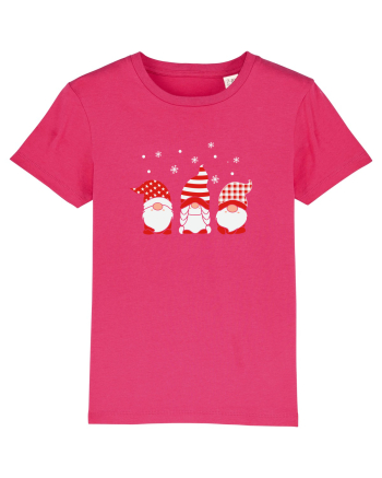 Christmas Gnomes Raspberry