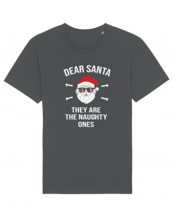 Dear Santa They Are The Naughty Ones Anthracite