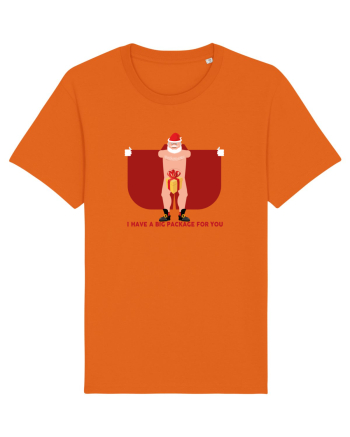 I Have A Big Package For You Bright Orange