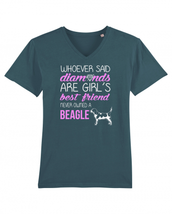 BEAGLE Stargazer