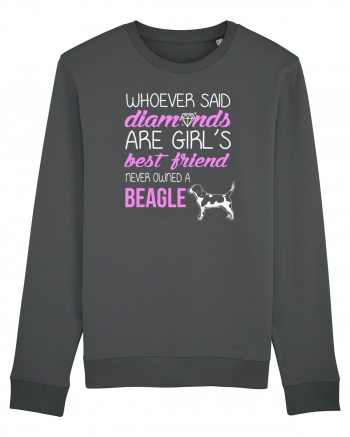 BEAGLE Anthracite