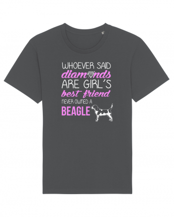 BEAGLE Anthracite