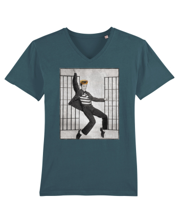 Elvis Presley  Stargazer