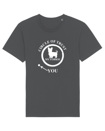 YORKIE Anthracite