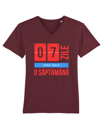7 Zile pana trece o saptamana Burgundy