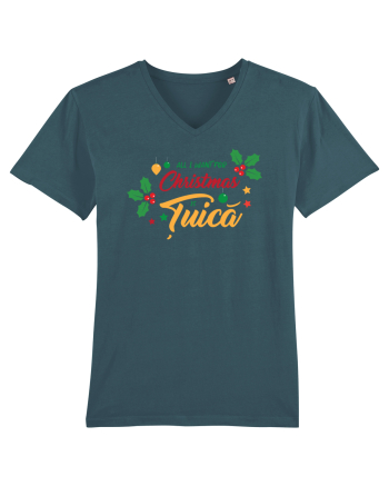 All I want for Christmas is țuică Stargazer