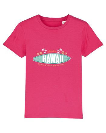 HAWAII Raspberry
