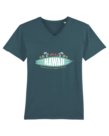 HAWAII Stargazer