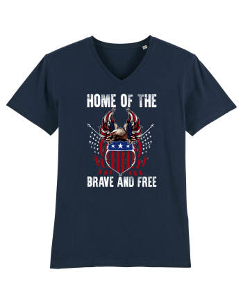 USA French Navy