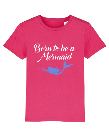 MERMAID Raspberry