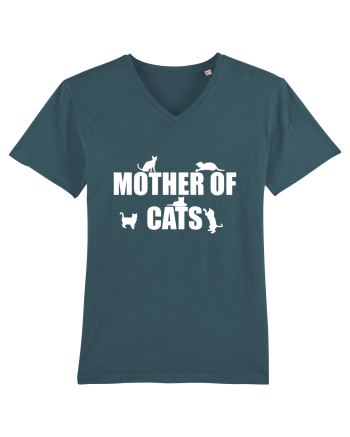 MOTHER OF CATS Stargazer
